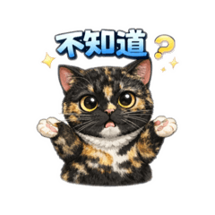 肆小寶party伍