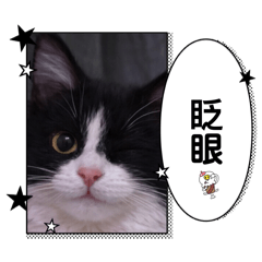 王子麵的日常 2