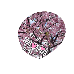 yukari_20260325112952