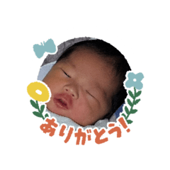 ryoka_20260325113353