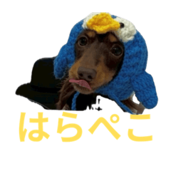 nonchan_20260325113147