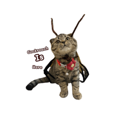 Thiya_20260323200259