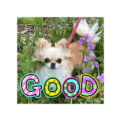 Suzuki_20260324222132