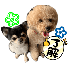 Bobfiba_20260324222817