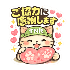 sakura cat_20260324223035