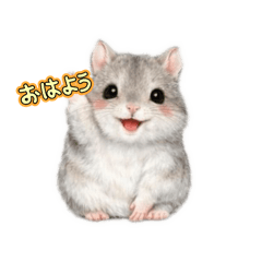 PET SEEYOUAGAIN_20260325121920