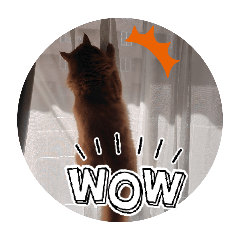 mayalts_20260324222425