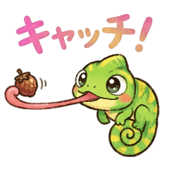 Gentle & Cute Chameleon Life