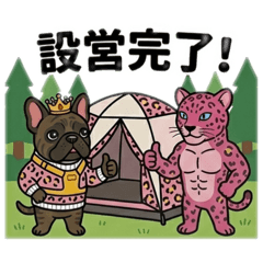 ROHAN_20260325122137