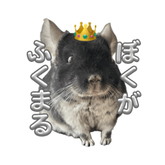 ponta_20260325122858