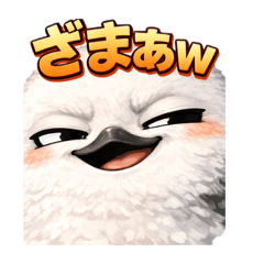 nimaenaga_20260325123446