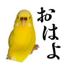 mamamama_20260324230001