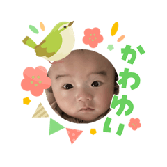 rinalim_20260324230412