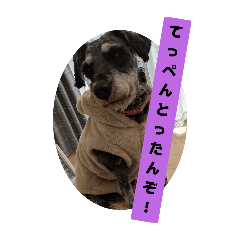 Yamatama_20260324225857