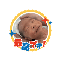 hotate_20260325130237