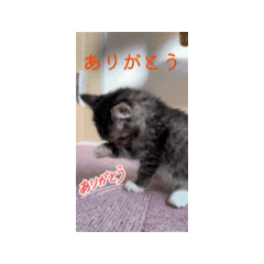 poppo_20260325131756