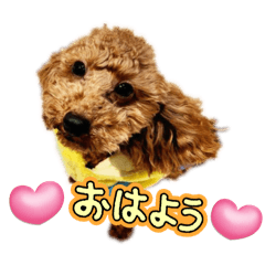 muritsu_20260325130653