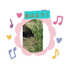 koharu_20260325142700