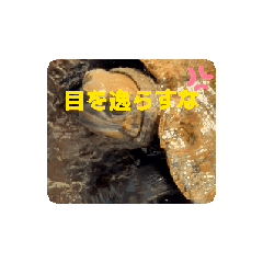 kenpi_20260325144045