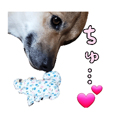 kihakuso_20260325133926