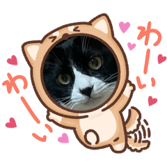 NonNon_20260324235141