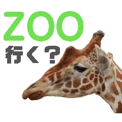 Animal_20260322111823