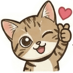 Cute Black-Footed Cat2