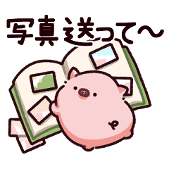 Nice to meet you Pig