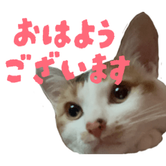 mugita_20260324220726