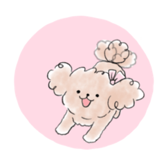 licolico_20260324225503