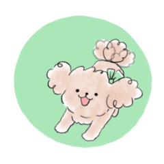 licolico_20260324225709