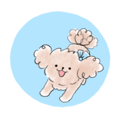 licolico_20260324225843