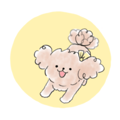 licolico_20260324230013