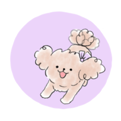 licolico_20260324230202