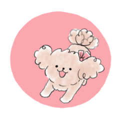 licolico_20260324224901