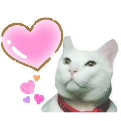 usa somsap_20260325024637