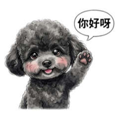 玩具黑貴賓好朋友♪( ´θ｀)ノ