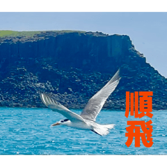 學習路程…． 順飛．．