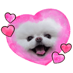 mizukichi_20260324152537