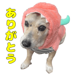 lucky is daily stickers 2