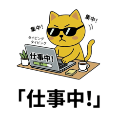 D project_20260325000629