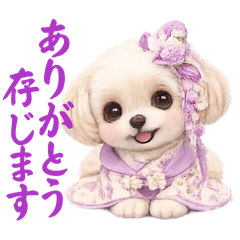 rarabear0730_20260324233051