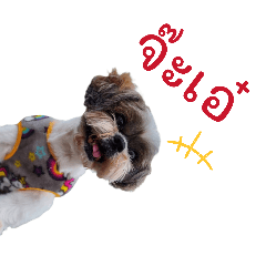 Memee_20260324234946