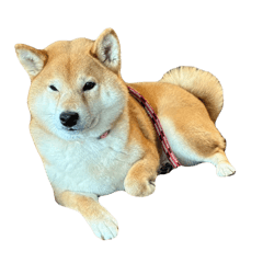 Yosuoka_20260325074137