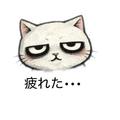 shiba works_20260325121451