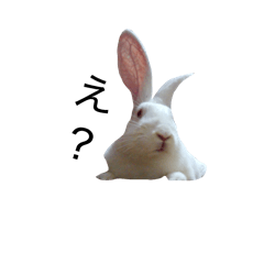 HANIWAking_20260325123236