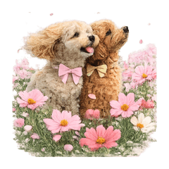 ame&yuki_20260325120241