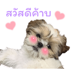 Jeanunu_20260325122002