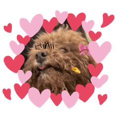 Yo AunAun_20260325121033