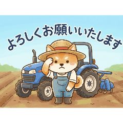 Wakatenouka_20260325132653